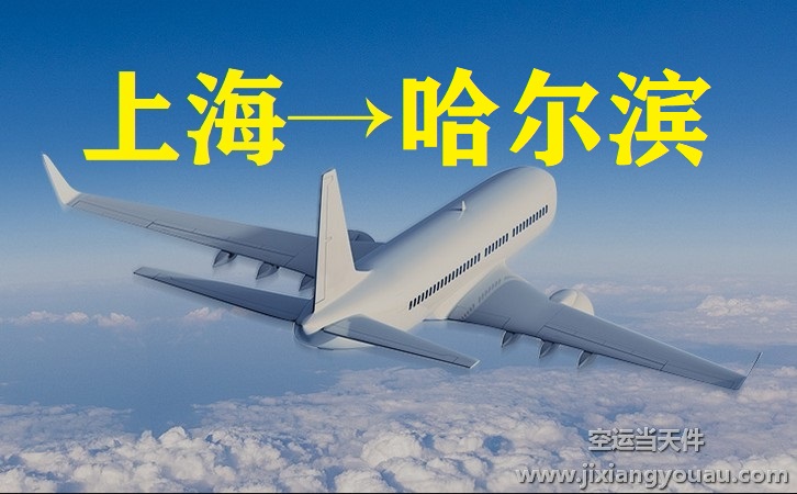 上海到哈爾濱空運