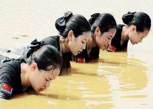 一米滴答物流單號查詢