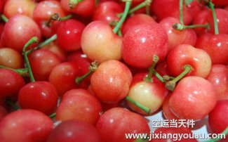 水果能空運(yùn)么？航空托運(yùn)水果收費(fèi)和包裝須知