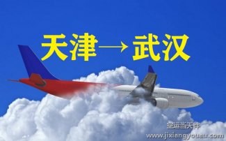 天津到武漢空運